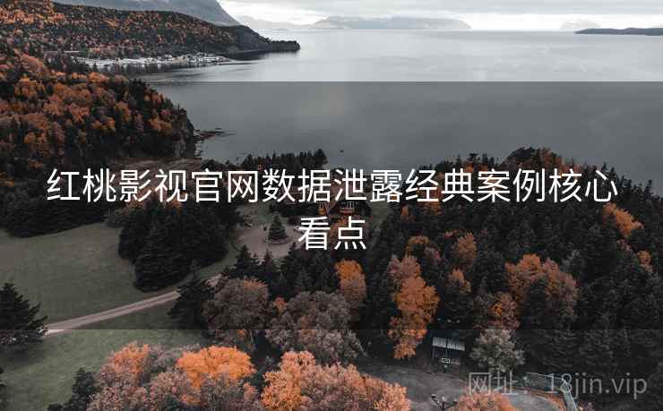 红桃影视官网数据泄露经典案例核心看点