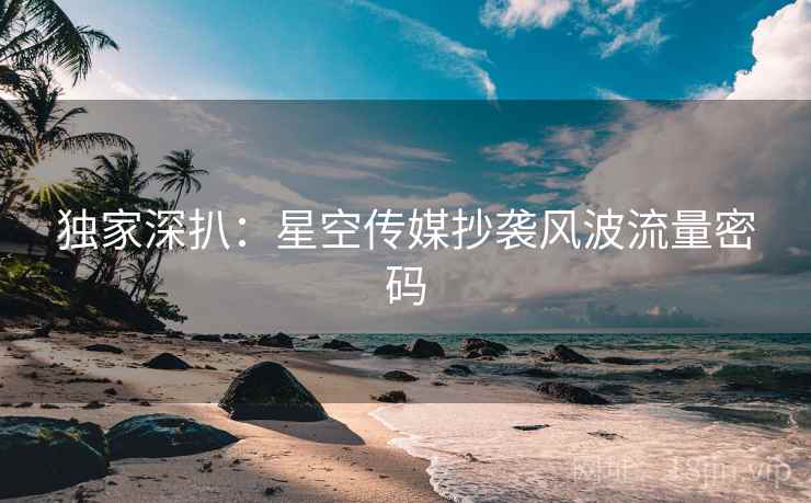 独家深扒：星空传媒抄袭风波流量密码